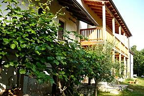 Традиционный дом с видом на зеленые окрестности 