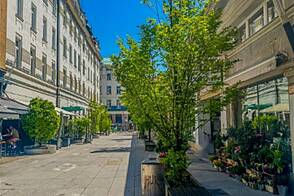 Квартира в центральном районе, предназначенная для коммерческого использования.