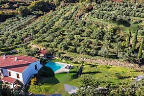 Семедела, дом, Копер