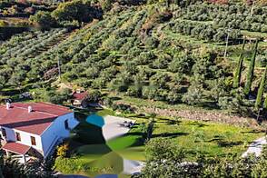 Здание на Новый Копер