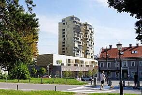 Шишка - коммерческое пространство.